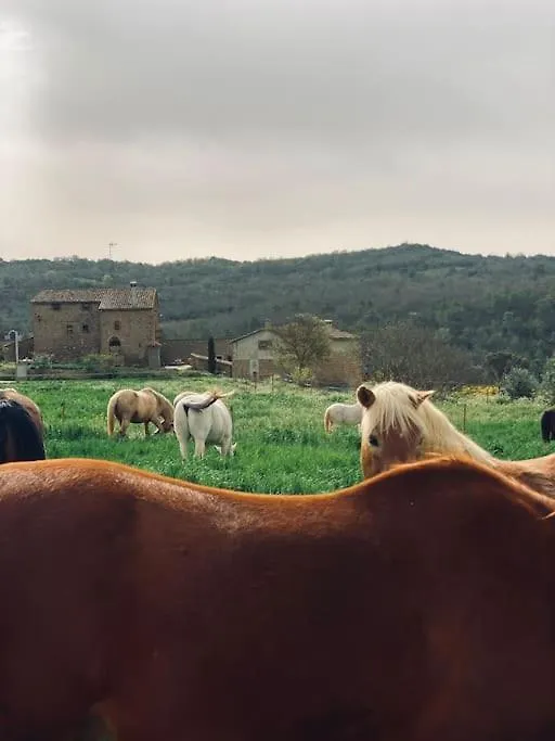 La Caseta Del Sola,Turisme Slow A Tora Sant Serni de Llanera