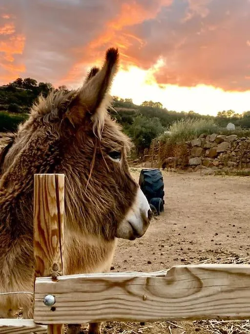La Caseta Del Sola,Turisme Slow A Tora Sant Serni de Llanera