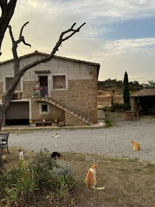 La Caseta Del Sola,Turisme Slow A Tora Sant Serni de Llanera 0*,