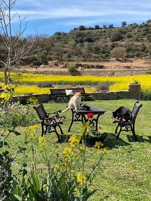 La Caseta Del Sola,Turisme Slow A Tora Sant Serni de Llanera Holiday home