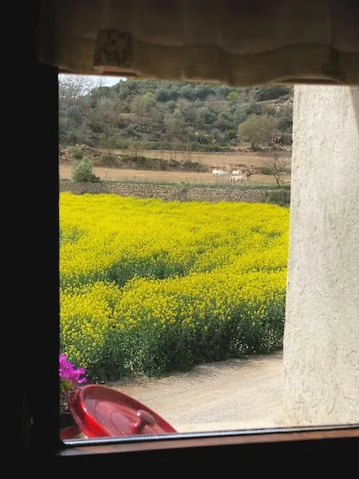 La Caseta Del Sola,Turisme Slow A Tora Sant Serni de Llanera 0*,