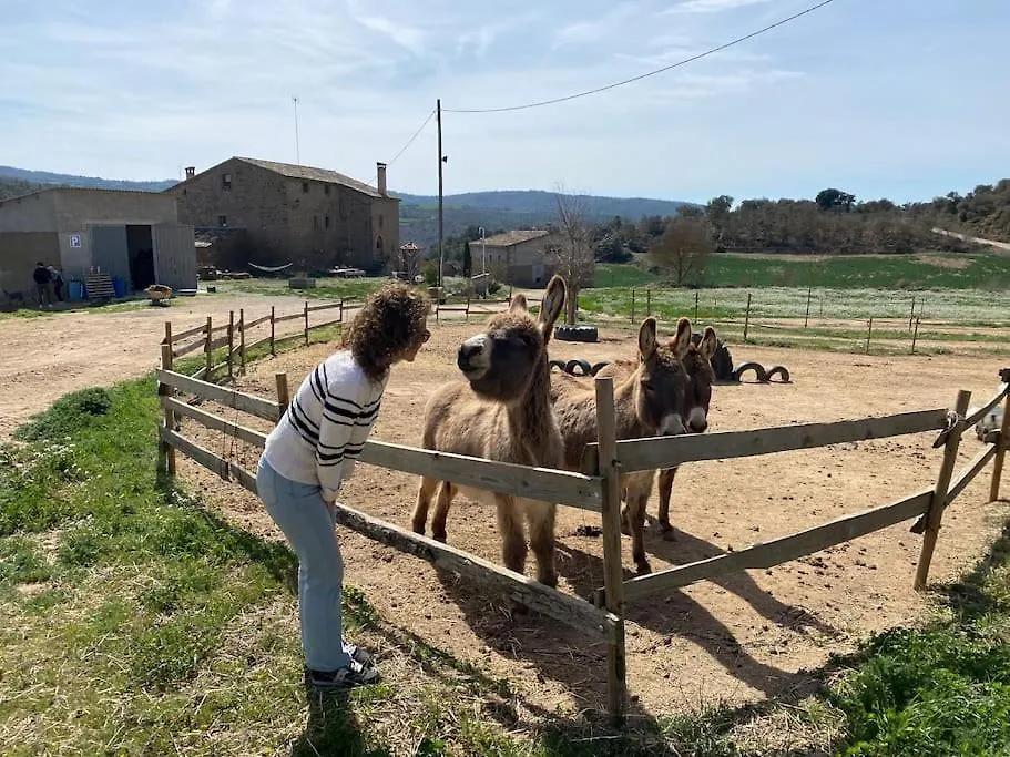 La Caseta Del Sola,Turisme Slow A Tora Sant Serni de Llanera Holiday home