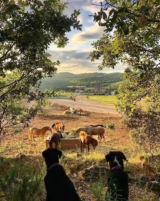 La Caseta Del Sola,Turisme Slow A Tora Sant Serni de Llanera Holiday home